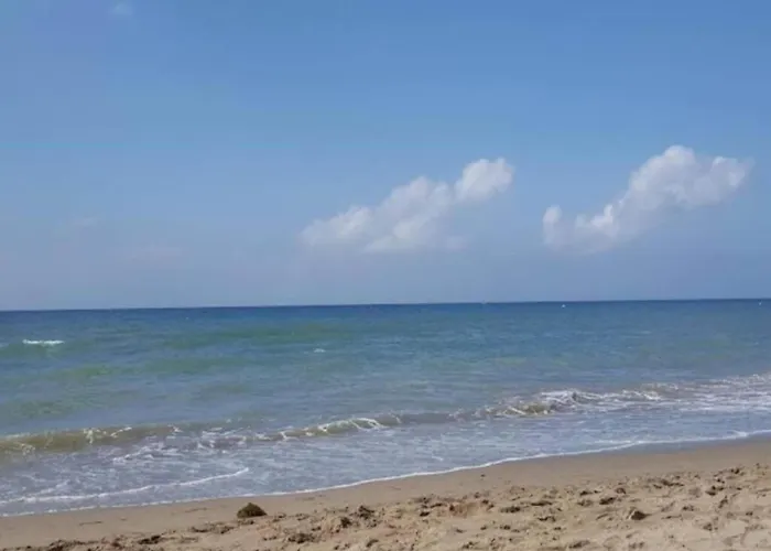 In Near Sandy Marbella