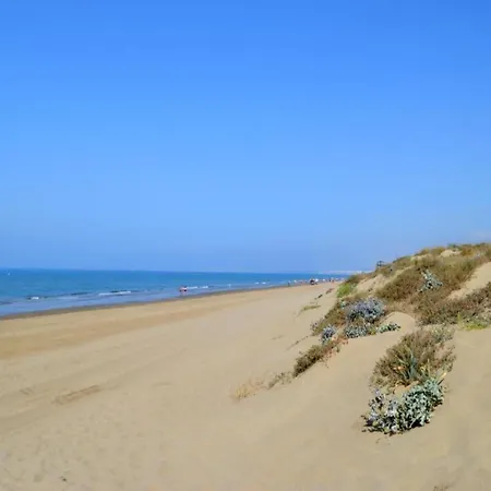 In Near Sandy 마르베야